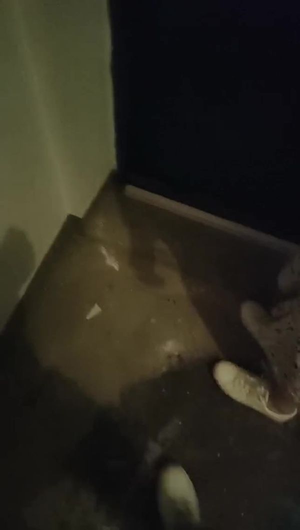 学校真实约 啪啪 20210521